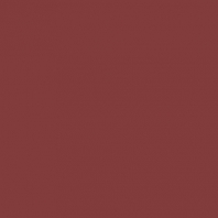 Краска Oikos Фасадная линия ELASTRONG VENEZIA FINE Elas-fine-ED2095 коричневый — купить в Москве в интернет-магазине Snabimport