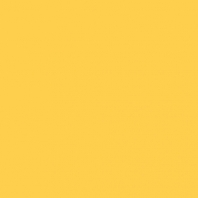 Краска Oikos Фасадная линия ELASTRONG VENEZIA FINE Elas-fine-ED2335 желтый — купить в Москве в интернет-магазине Snabimport