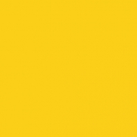 Краска Oikos Фасадная линия ELASTRONG VENEZIA FINE Elas-fine-ED2345 желтый — купить в Москве в интернет-магазине Snabimport