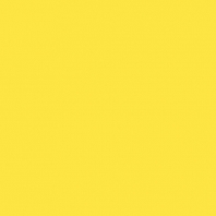 Краска Oikos Фасадная линия ELASTRONG VENEZIA FINE Elas-fine-ED2355 желтый — купить в Москве в интернет-магазине Snabimport