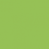 Краска Oikos Фасадная линия ELASTRONG VENEZIA FINE Elas-fine-ED2415 зеленый — купить в Москве в интернет-магазине Snabimport