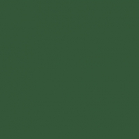 Краска Oikos Фасадная линия ELASTRONG VENEZIA FINE Elas-fine-ED2425 зеленый — купить в Москве в интернет-магазине Snabimport