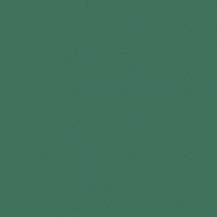 Краска Oikos Фасадная линия ELASTRONG VENEZIA FINE Elas-fine-ED2455 зеленый — купить в Москве в интернет-магазине Snabimport