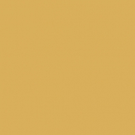 Краска Oikos Фасадная линия ELASTRONG VENEZIA FINE Elas-fine-EX1360 коричневый — купить в Москве в интернет-магазине Snabimport