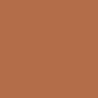 Краска Oikos Фасадная линия ELASTRONG VENEZIA FINE Elas-fine-EX1410 коричневый — купить в Москве в интернет-магазине Snabimport
