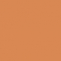 Краска Oikos Фасадная линия ELASTRONG VENEZIA FINE Elas-fine-EX1520 коричневый — купить в Москве в интернет-магазине Snabimport