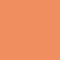 Краска Oikos Фасадная линия ELASTRONG VENEZIA FINE Elas-fine-EX1530 коричневый — купить в Москве в интернет-магазине Snabimport