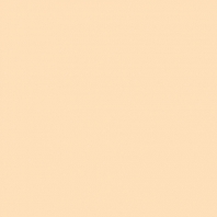 Краска Oikos Фасадная линия ELASTRONG VENEZIA FINE Elas-fine-EX1730 Бежевый — купить в Москве в интернет-магазине Snabimport