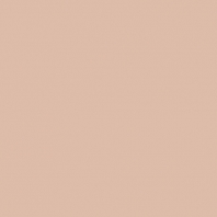 Краска Oikos Фасадная линия ELASTRONG VENEZIA FINE Elas-fine-EX1820 коричневый — купить в Москве в интернет-магазине Snabimport