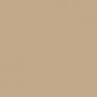 Краска Oikos Фасадная линия ELASTRONG VENEZIA FINE Elas-fine-EX1840 коричневый — купить в Москве в интернет-магазине Snabimport