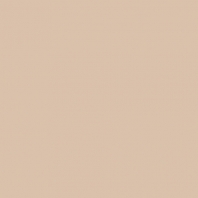 Краска Oikos Фасадная линия ELASTRONG VENEZIA FINE Elas-fine-EX1860 коричневый — купить в Москве в интернет-магазине Snabimport