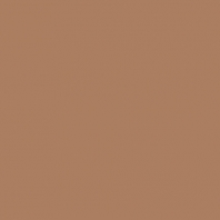 Краска Oikos Фасадная линия ELASTRONG VENEZIA FINE Elas-fine-EX1940 коричневый — купить в Москве в интернет-магазине Snabimport