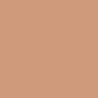 Краска Oikos Фасадная линия ELASTRONG VENEZIA FINE Elas-fine-EX1950 коричневый — купить в Москве в интернет-магазине Snabimport