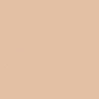 Краска Oikos Фасадная линия ELASTRONG VENEZIA FINE Elas-fine-EX2070 коричневый — купить в Москве в интернет-магазине Snabimport