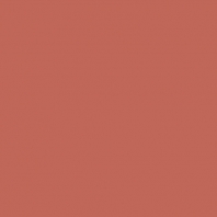 Краска Oikos Фасадная линия ELASTRONG VENEZIA FINE Elas-fine-EX2100 коричневый — купить в Москве в интернет-магазине Snabimport