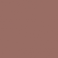 Краска Oikos Фасадная линия ELASTRONG VENEZIA FINE Elas-fine-EX2310 коричневый — купить в Москве в интернет-магазине Snabimport