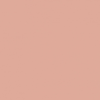 Краска Oikos Фасадная линия ELASTRONG VENEZIA FINE Elas-fine-EX2330 коричневый — купить в Москве в интернет-магазине Snabimport