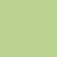Краска Oikos Фасадная линия ELASTRONG VENEZIA FINE Elas-fine-EX2940 зеленый — купить в Москве в интернет-магазине Snabimport