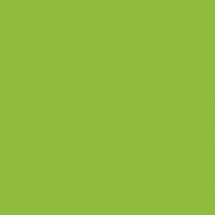 Краска Oikos Фасадная линия ELASTRONG VENEZIA FINE Elas-fine-EX2950 зеленый — купить в Москве в интернет-магазине Snabimport