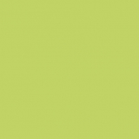 Краска Oikos Фасадная линия ELASTRONG VENEZIA FINE Elas-fine-EX2960 зеленый — купить в Москве в интернет-магазине Snabimport