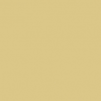 Краска Oikos Фасадная линия ELASTRONG VENEZIA FINE Elas-fine-EX3080 коричневый — купить в Москве в интернет-магазине Snabimport