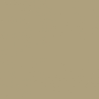 Краска Oikos Фасадная линия ELASTRONG VENEZIA FINE Elas-fine-EX3100 коричневый — купить в Москве в интернет-магазине Snabimport