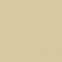 Краска Oikos Фасадная линия ELASTRONG VENEZIA FINE Elas-fine-EX3140 коричневый — купить в Москве в интернет-магазине Snabimport