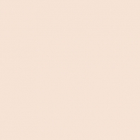 Краска Oikos Фасадная линия ELASTRONG VENEZIA FINE Elas-fine-TL012 Бежевый — купить в Москве в интернет-магазине Snabimport