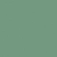 Краска Oikos Фасадная линия ELASTRONG VENEZIA FINE Elas-fine-TL211 зеленый — купить в Москве в интернет-магазине Snabimport
