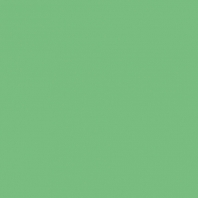 Краска Oikos Фасадная линия ELASTRONG VENEZIA FINE Elas-fine-TL221 зеленый — купить в Москве в интернет-магазине Snabimport