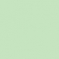 Краска Oikos Фасадная линия ELASTRONG VENEZIA FINE Elas-fine-TL233 зеленый — купить в Москве в интернет-магазине Snabimport
