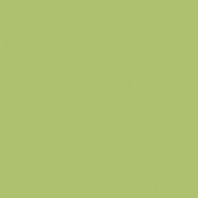 Краска Oikos Фасадная линия ELASTRONG VENEZIA FINE Elas-fine-TL271 зеленый — купить в Москве в интернет-магазине Snabimport