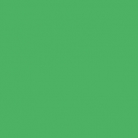 Краска Oikos Фасадная линия ELASTRONG VENEZIA FINE Elas-fine-TL322 зеленый — купить в Москве в интернет-магазине Snabimport