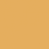 Краска Oikos Фасадная линия ELASTRONG VENEZIA FINE Elas-fine-TL444 желтый — купить в Москве в интернет-магазине Snabimport