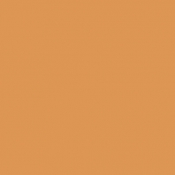 Краска Oikos Фасадная линия ELASTRONG VENEZIA FINE Elas-fine-TL501 коричневый — купить в Москве в интернет-магазине Snabimport