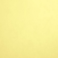 Краска Oikos Фасадная линия ELASTRONG VENEZIA FINE Elas-fine-TL812 желтый — купить в Москве в интернет-магазине Snabimport