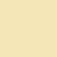 Краска Oikos Фасадная линия ELASTRONG VENEZIA FINE Elas-fine-TL813 желтый — купить в Москве в интернет-магазине Snabimport