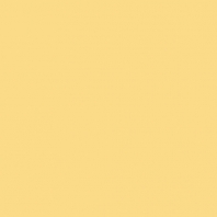 Краска Oikos Фасадная линия ELASTRONG VENEZIA FINE Elas-fine-TL821 желтый — купить в Москве в интернет-магазине Snabimport