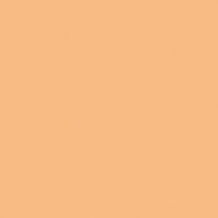 Краска Oikos Фасадная линия ELASTRONG VENEZIA FINE Elas-fine-TL841 оранжевый — купить в Москве в интернет-магазине Snabimport