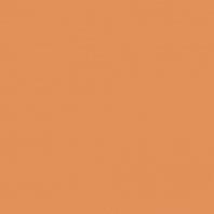 Краска Oikos Фасадная линия ELASTRONG VENEZIA FINE Elas-fine-TL852 коричневый — купить в Москве в интернет-магазине Snabimport
