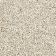 Ковровое покрытие Karastan Elegantly Soft Ashwood бежевый