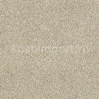 Ковровое покрытие Karastan Elegantly Soft Birch Beige бежевый — купить в Москве в интернет-магазине Snabimport