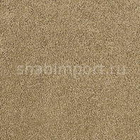 Ковровое покрытие Karastan Elegantly Soft Camille Cream коричневый
