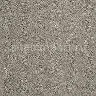Ковровое покрытие Karastan Elegantly Soft Chrome серый