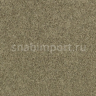 Ковровое покрытие Karastan Elegantly Soft Colonial зеленый