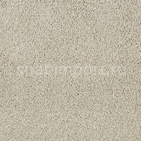 Ковровое покрытие Karastan Elegantly Soft Creamy Mocha бежевый — купить в Москве в интернет-магазине Snabimport