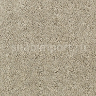 Ковровое покрытие Karastan Elegantly Soft Crossroads серый