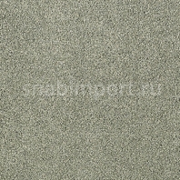 Ковровое покрытие Karastan Elegantly Soft Deep Moss серый