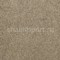 Ковровое покрытие Karastan Elegantly Soft Desert Scape коричневый