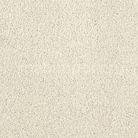 Ковровое покрытие Karastan Elegantly Soft Downy Mist белый